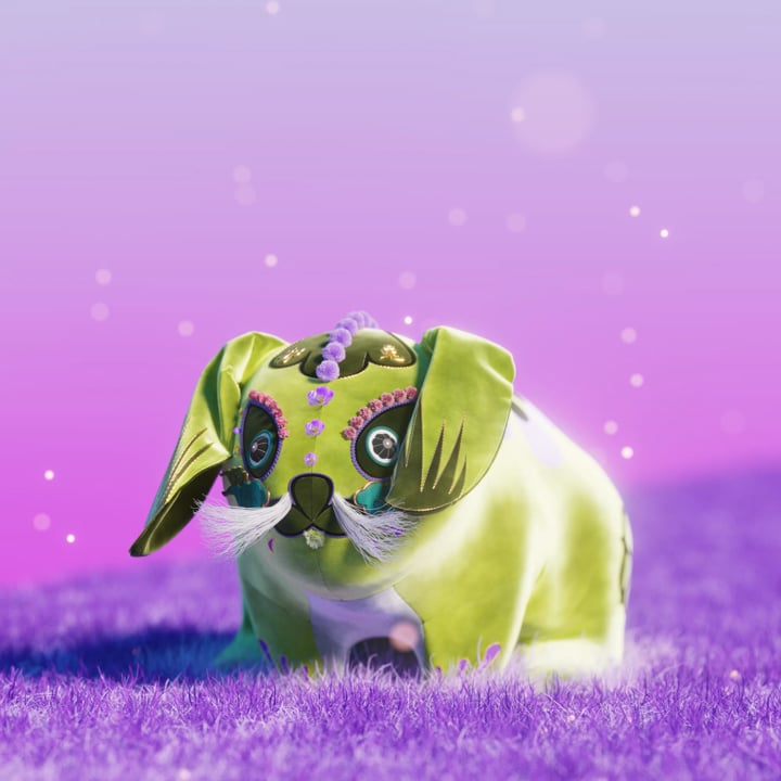 Year of the Rabbit